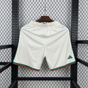 Mens Algeria 2026 World Cup Home Shorts
